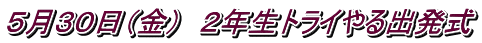 ５月３０日（金）　２年生トライやる出発式