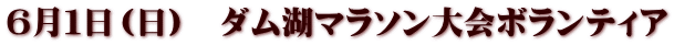６月１日（日）　ダム湖マラソン大会ボランティア