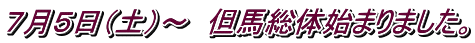 ７月５日（土）～　但馬総体始まりました。