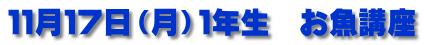 １１月１７日（月）１年生　お魚講座