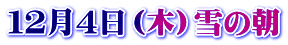 １２月４日（木）雪の朝
