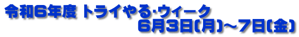 令和６年度 トライやる･ウィーク　 　　　　　　　　　６月３日(月)～７日(金)